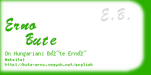 erno bute business card