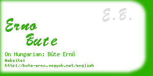 erno bute business card